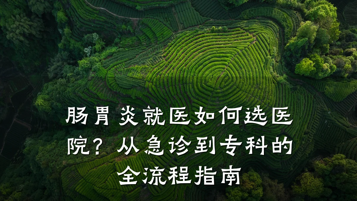 肠胃炎就医如何选医院？从急诊到专科的全流程指南