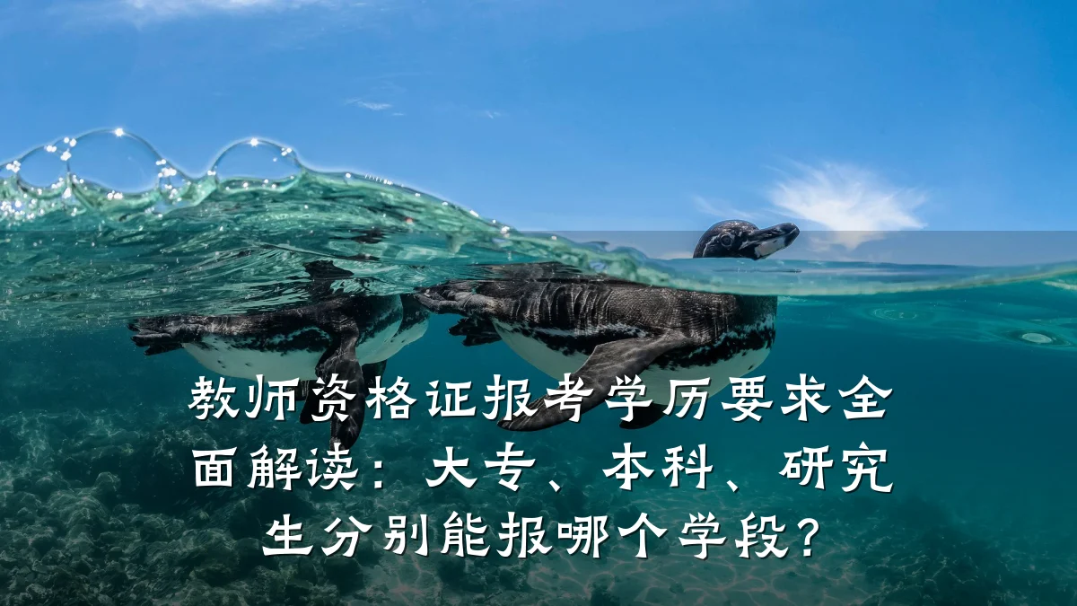 教师资格证报考学历要求全面解读:大专、本科、研究生分别能报哪个学段?