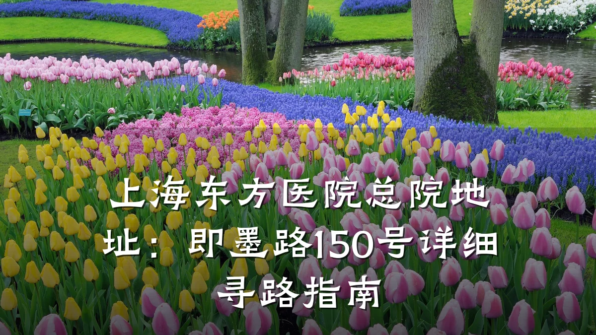 上海东方医院总院地址：即墨路150号详细寻路指南