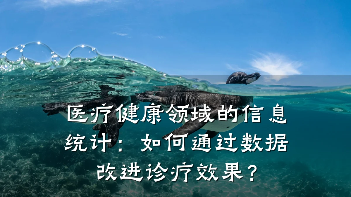 医疗健康领域的信息统计：如何通过数据改进诊疗效果？