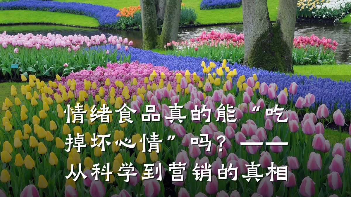 情绪食品真的能“吃掉坏心情”吗?——从科学到营销的真相