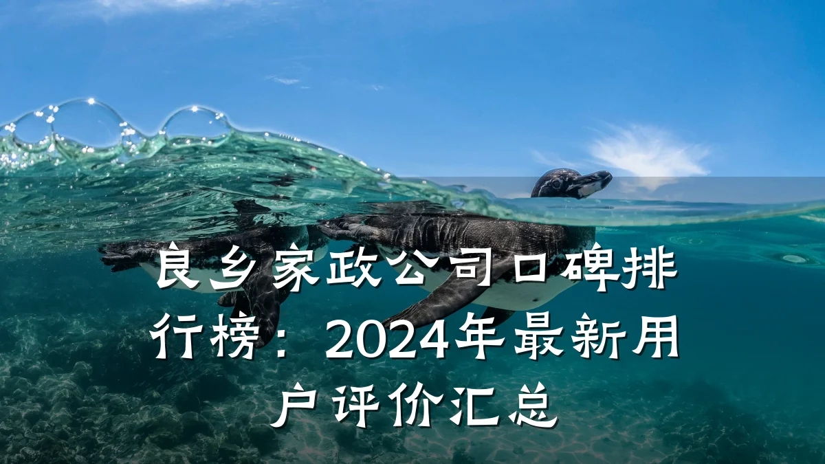 良乡家政公司口碑排行榜:2024年最新用户评价汇总