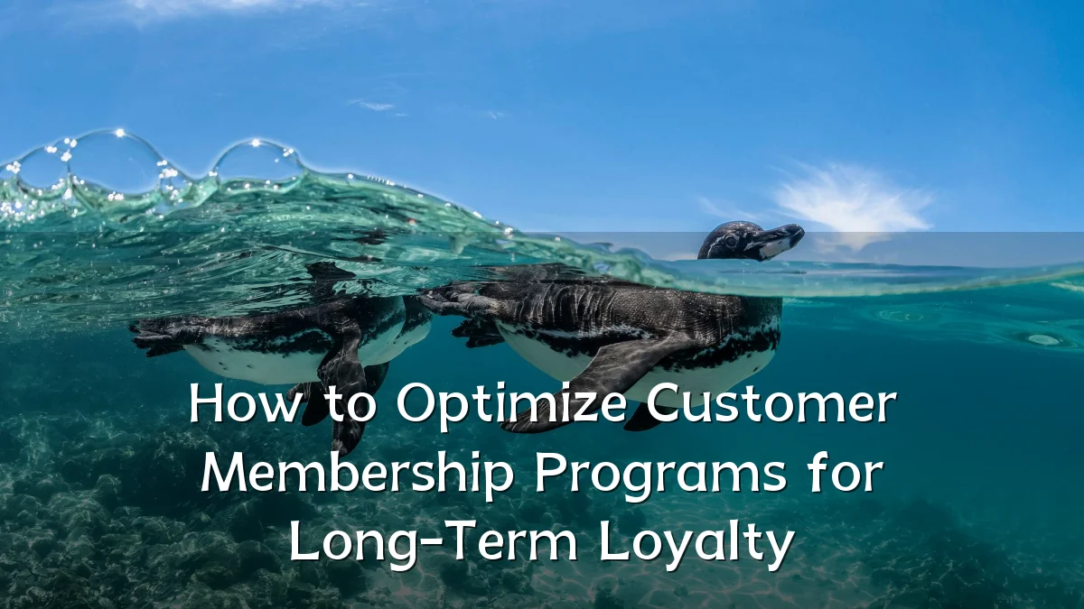 How to Optimize Customer Membership Programs for Long-Term Loyalty