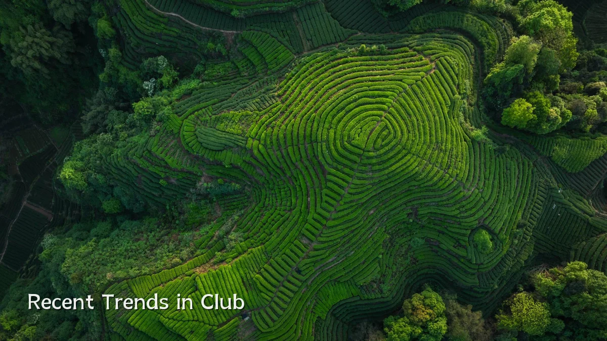Recent Trends in Club