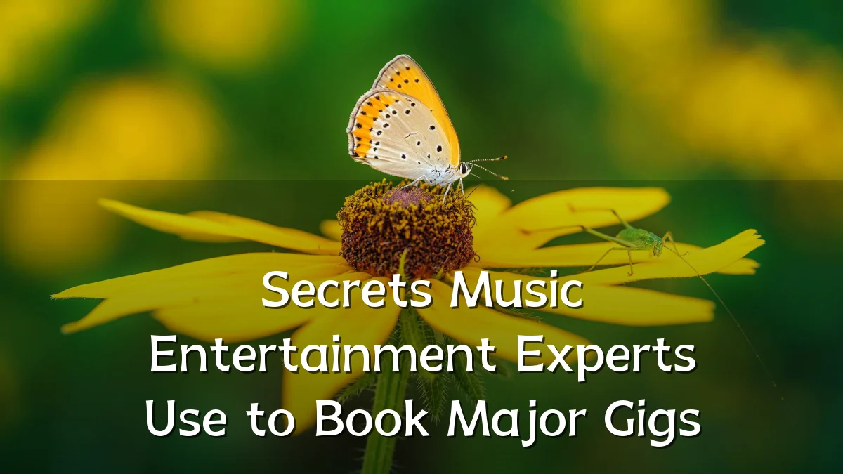 Secrets Music Entertainment Experts Use to Book Major Gigs