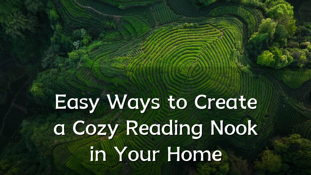 Easy Ways to Create a Cozy Reading Nook in Your Home