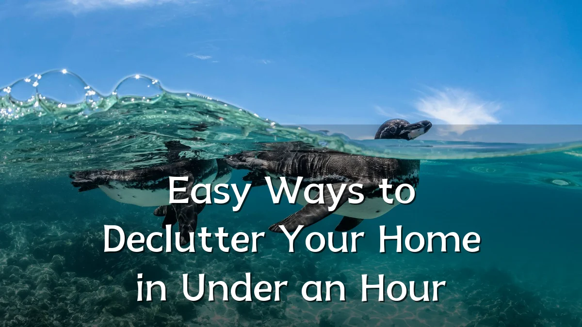 Easy Ways to Declutter Your Home in Under an Hour
