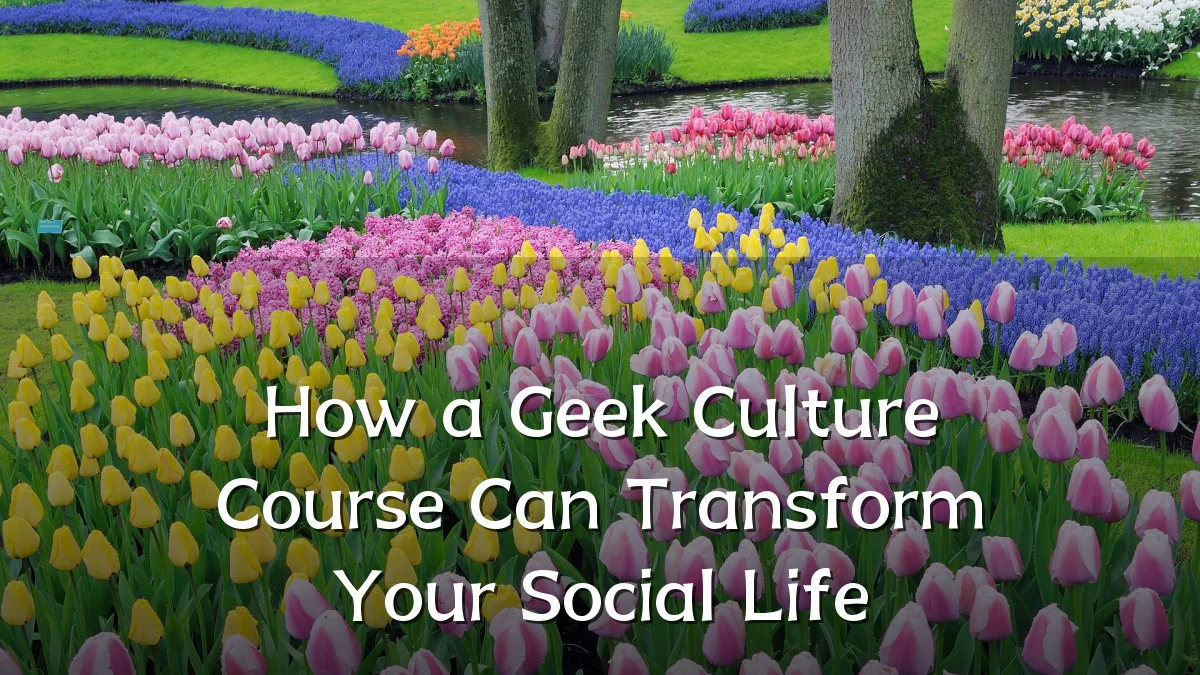 How a Geek Culture Course Can Transform Your Social Life