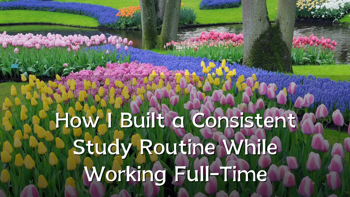 How I Built a Consistent Study Routine While Working Full-Time