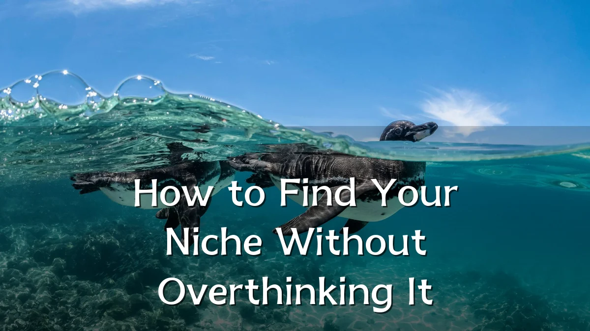 How to Find Your Niche Without Overthinking It
