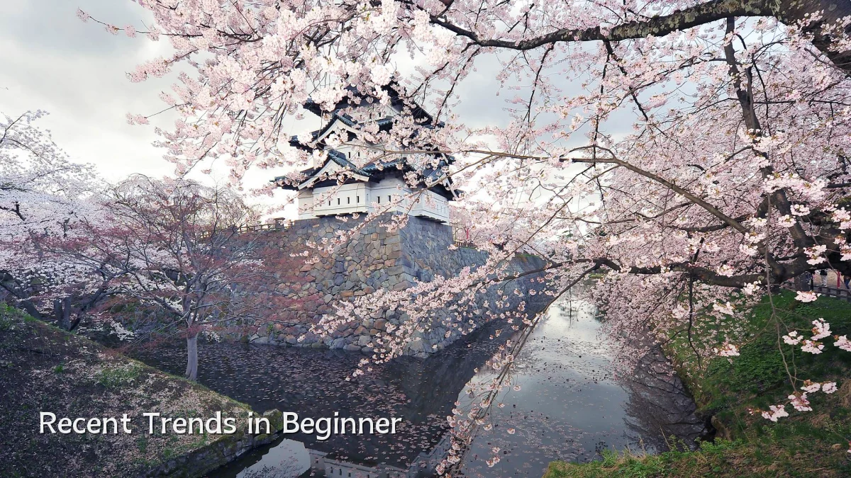 Recent Trends in Beginner