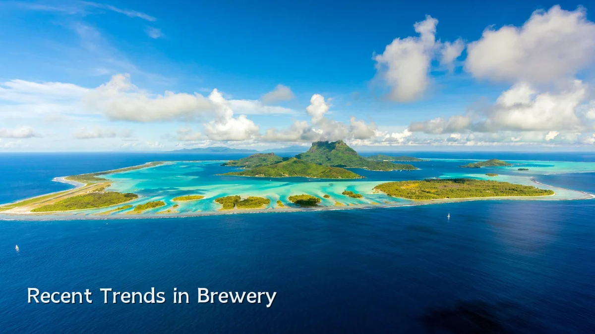Recent Trends in Brewery
