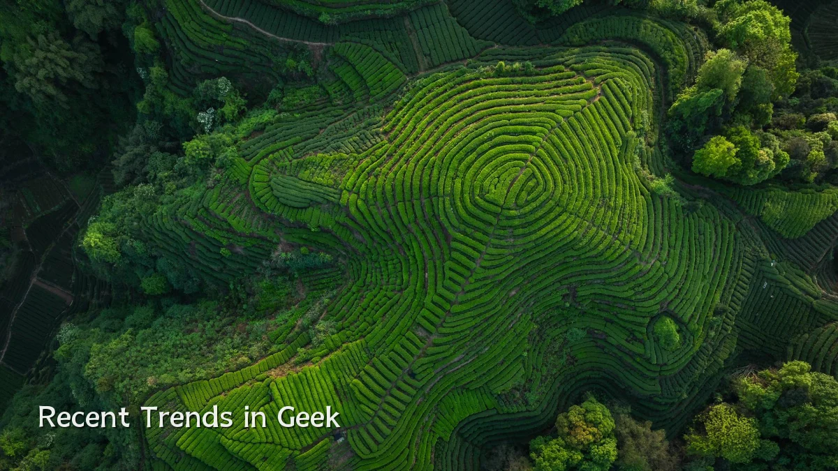 Recent Trends in Geek