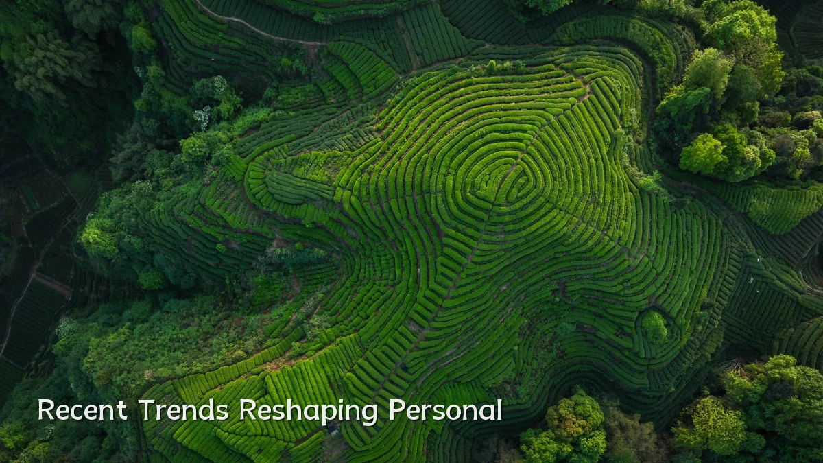 Recent Trends Reshaping Personal