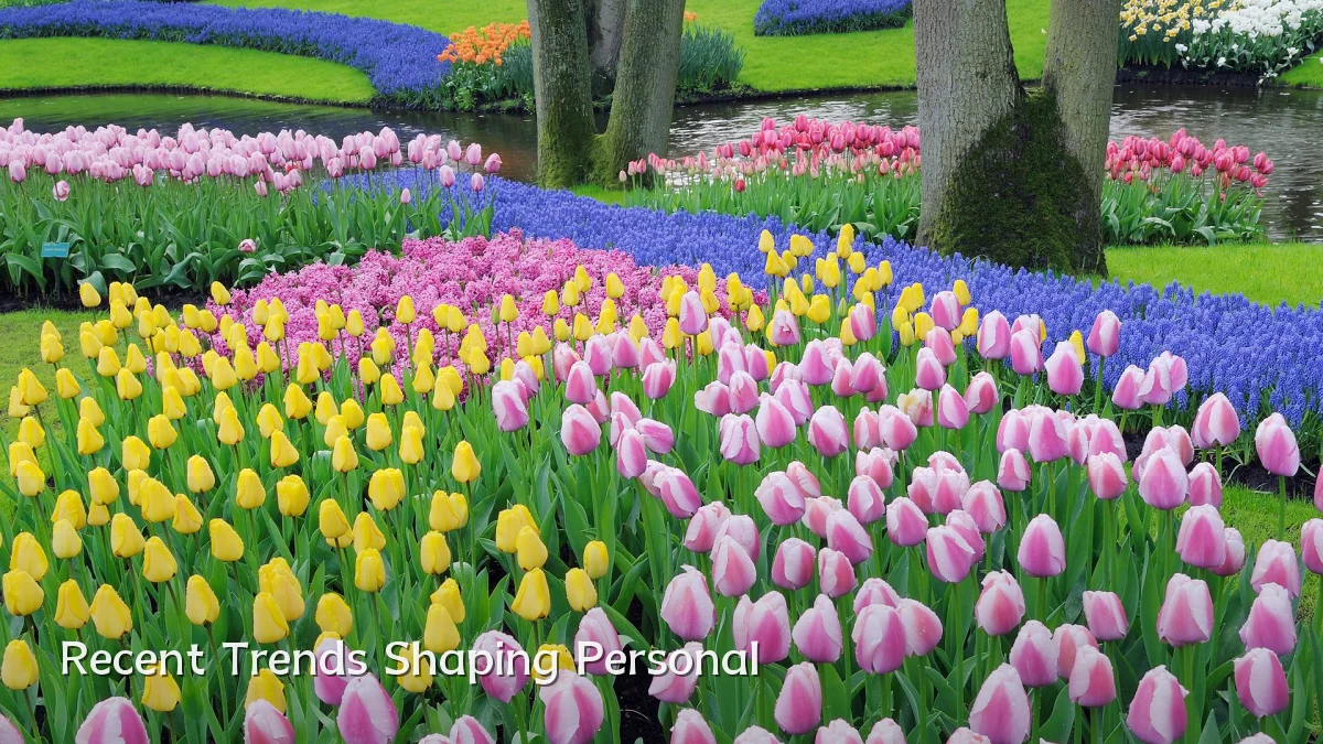 Recent Trends Shaping Personal
