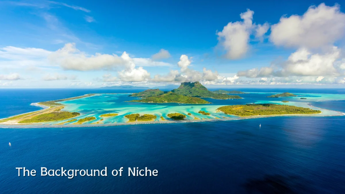 The Background of Niche