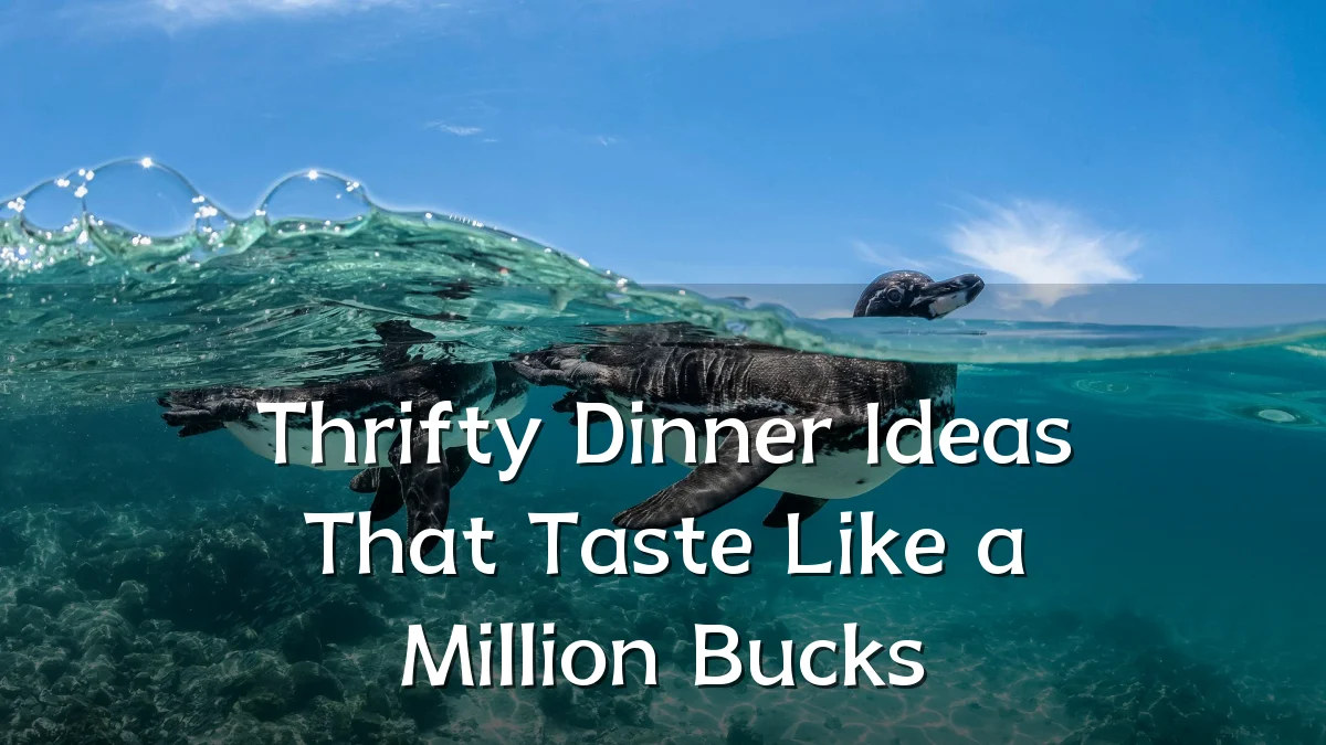 Thrifty Dinner Ideas That Taste Like a Million Bucks
