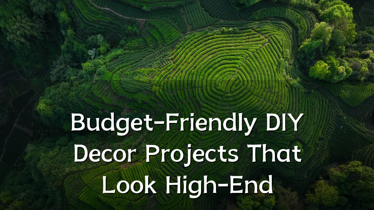 Budget-Friendly DIY Decor Projects That Look High-End