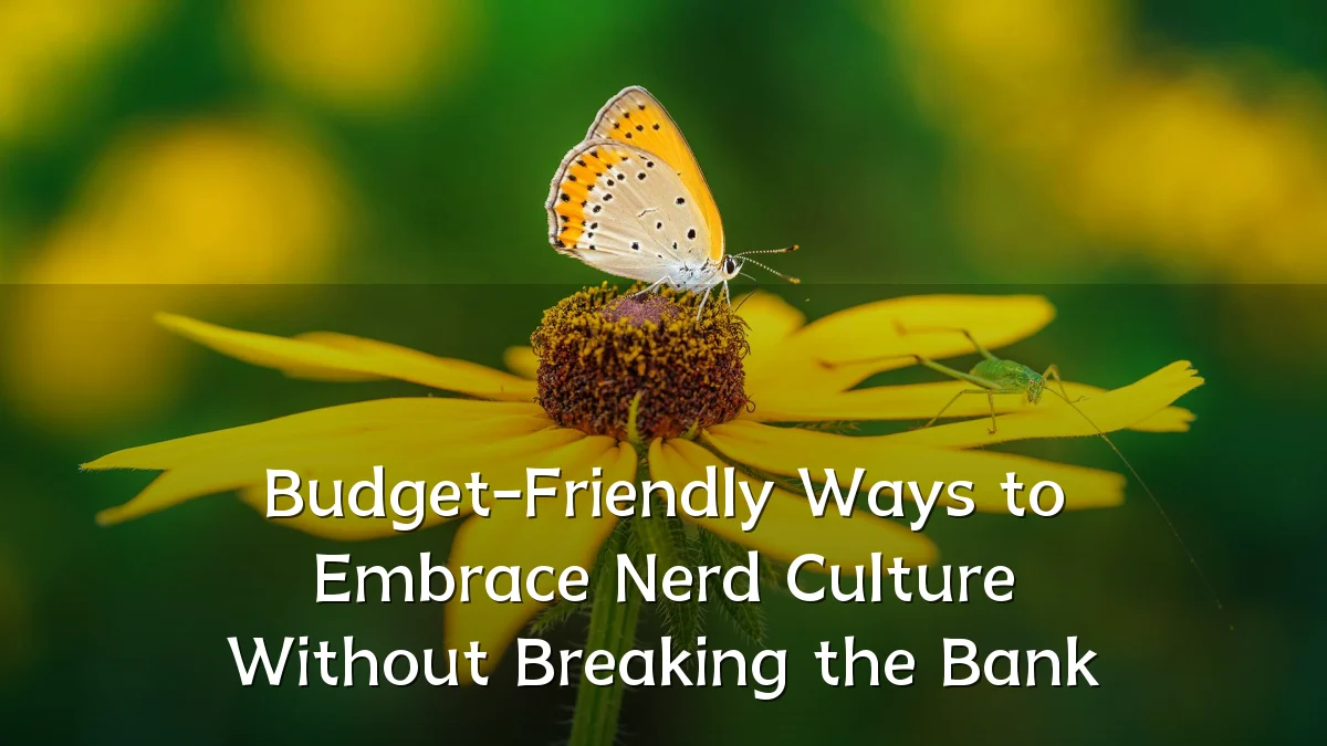 Budget-Friendly Ways to Embrace Nerd Culture Without Breaking the Bank