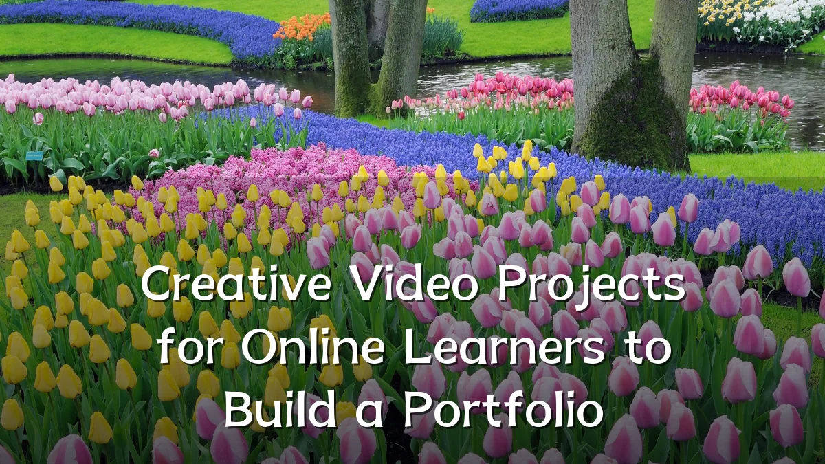Creative Video Projects for Online Learners to Build a Portfolio