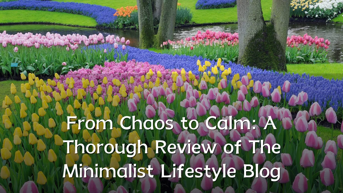 From Chaos to Calm: A Thorough Review of The Minimalist Lifestyle Blog