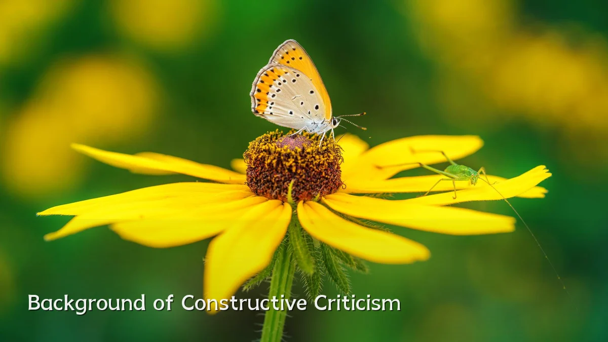 Background of Constructive Criticism