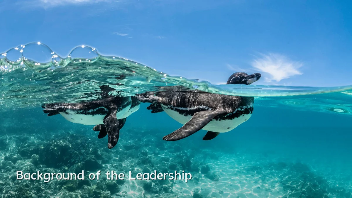 Background of the Leadership