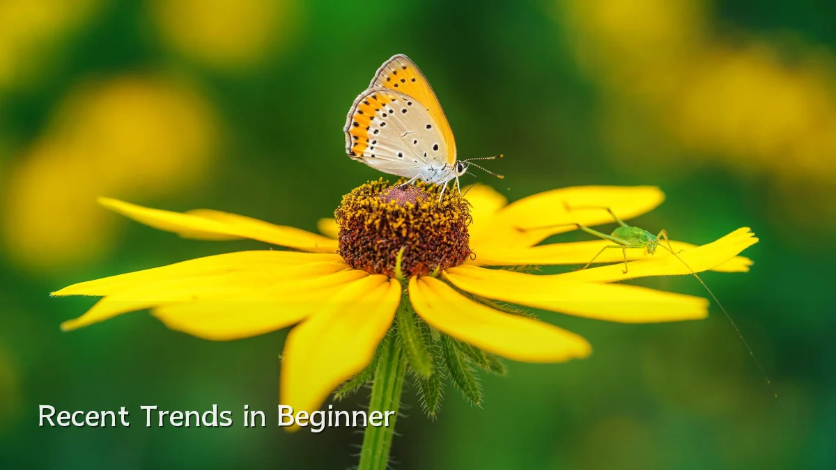 Recent Trends in Beginner