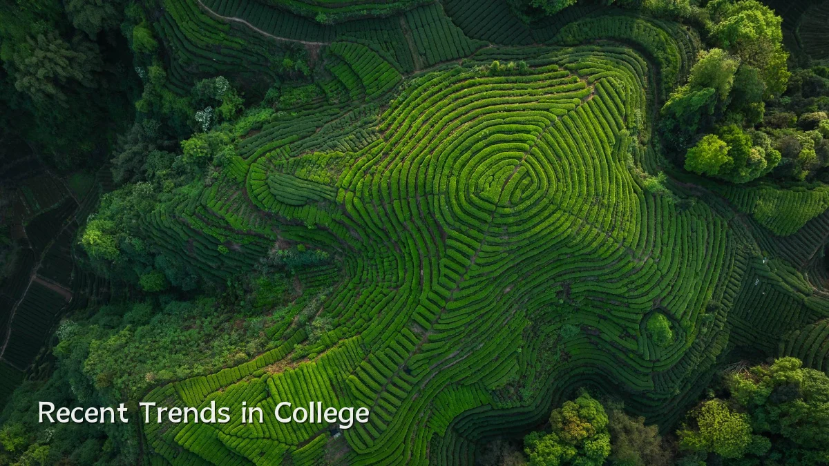 Recent Trends in College