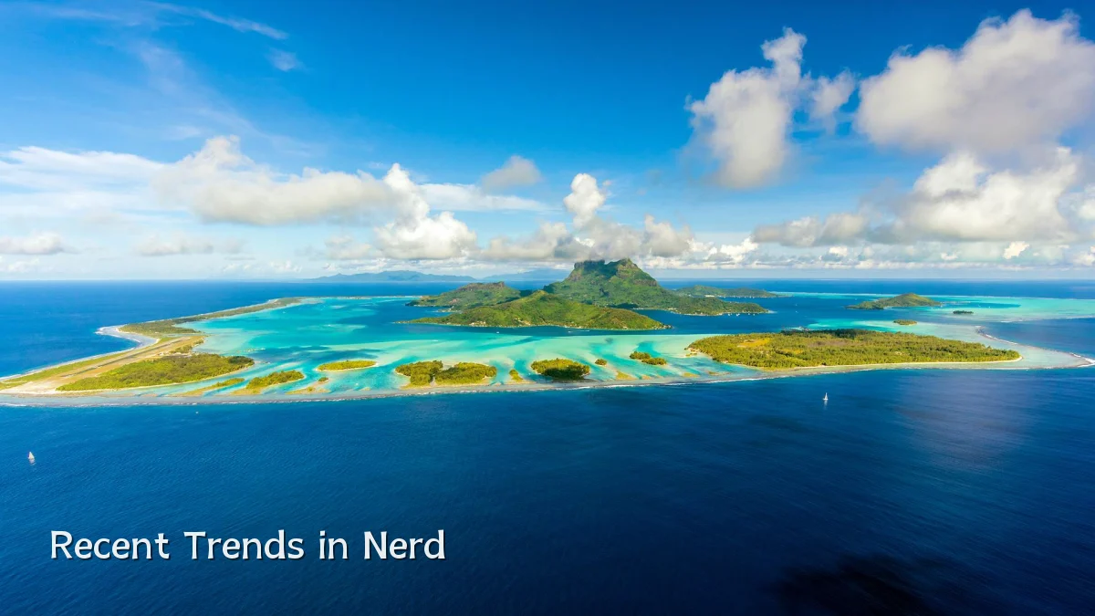 Recent Trends in Nerd