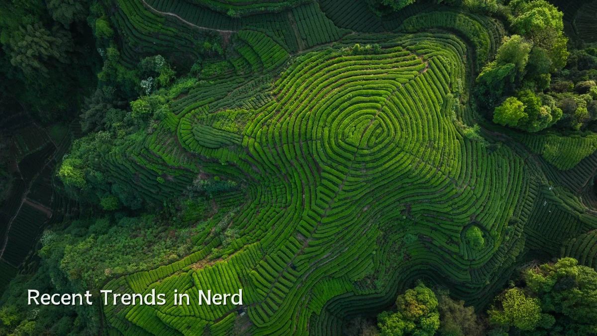 Recent Trends in Nerd