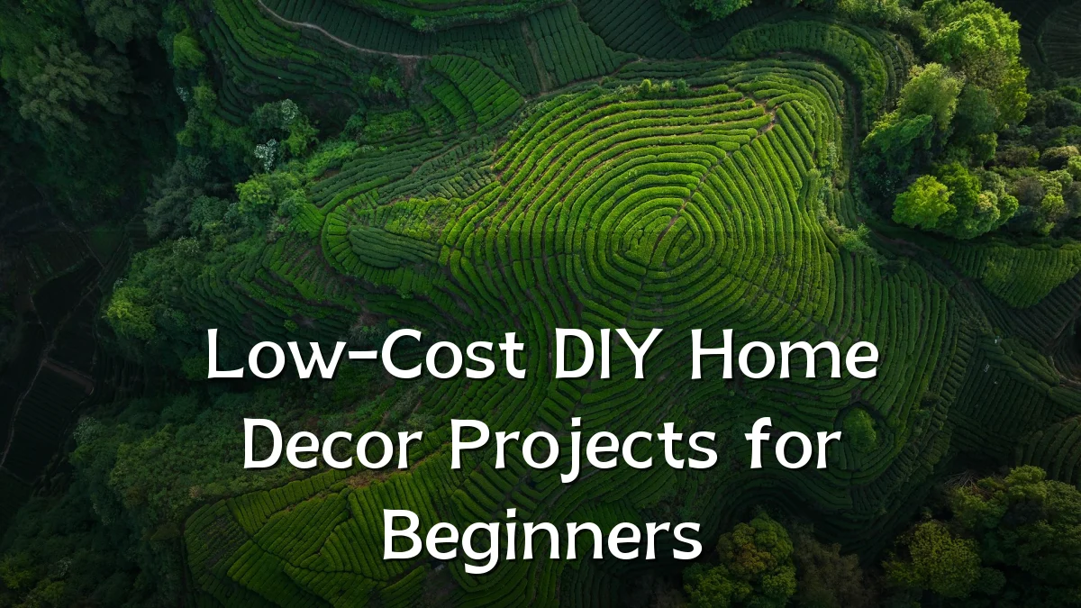 Low-Cost DIY Home Decor Projects for Beginners