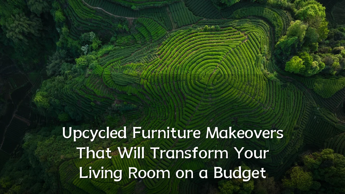 Upcycled Furniture Makeovers That Will Transform Your Living Room on a Budget