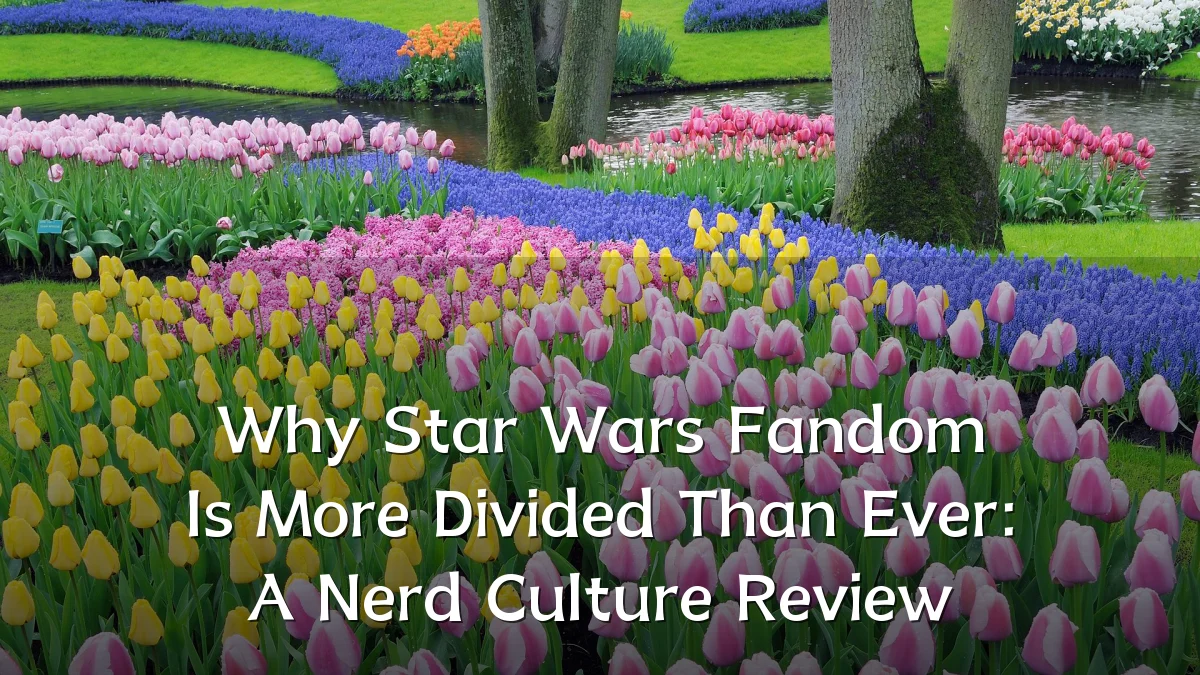 Why Star Wars Fandom Is More Divided Than Ever: A Nerd Culture Review