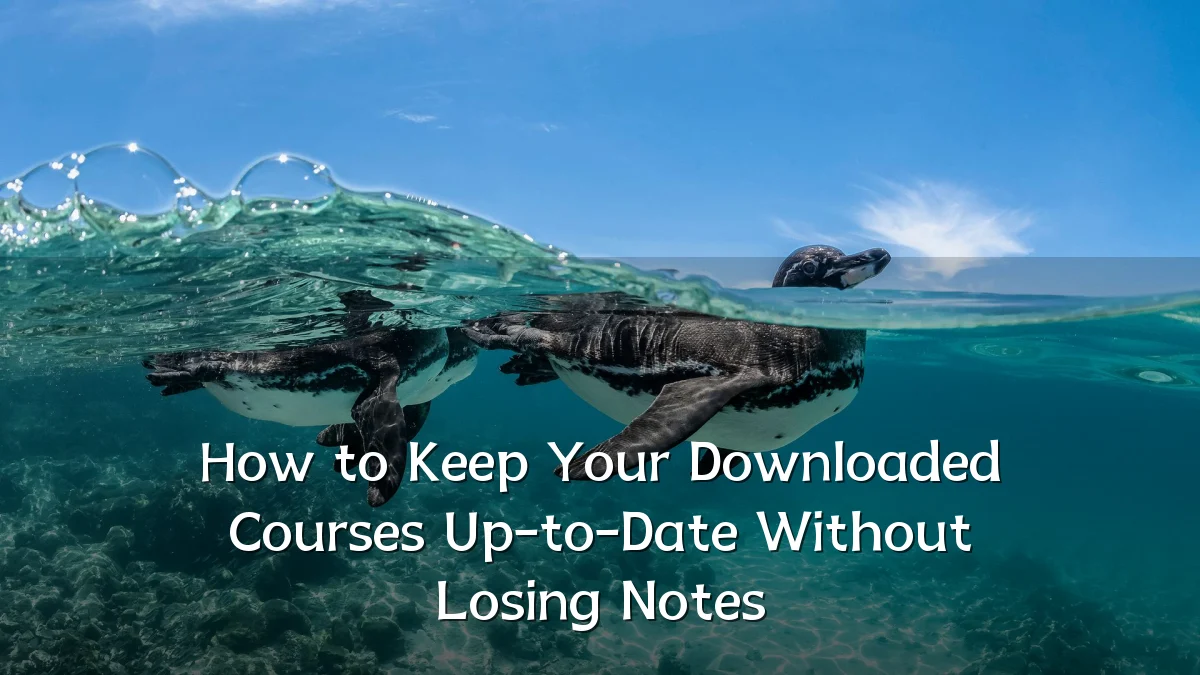 How to Keep Your Downloaded Courses Up-to-Date Without Losing Notes